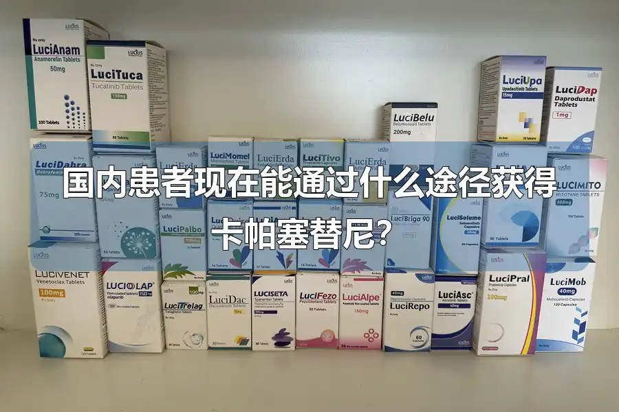 国内患者现在能通过什么途径获得卡帕塞替尼？